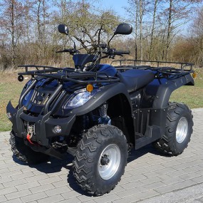 250ccm Quad Atv Hunter 250 mit Straßenzulassung + Seilwinde 250ccm Quad Atv Hunter 250 mit Straßenzulassung + Seilwinde