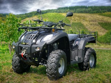 250ccm Quad Atv Hunter 250 mit Straßenzulassung + Seilwinde 250ccm Quad Atv Hunter 250 mit Straßenzulassung + Seilwinde
