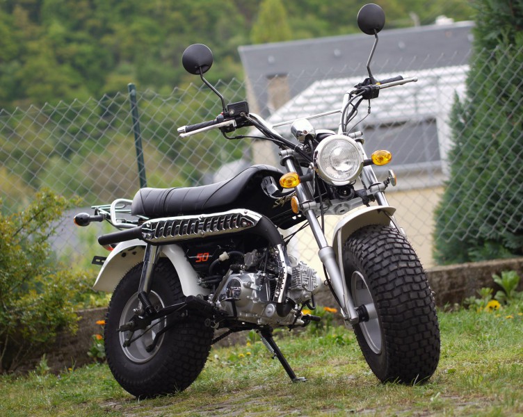 Skyteam T-Rex 50 ccm - ST50-11 - 2 Personen Zulassung ...