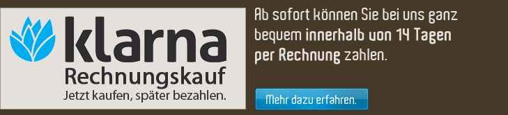 Rechnungskauf mit KLARNA