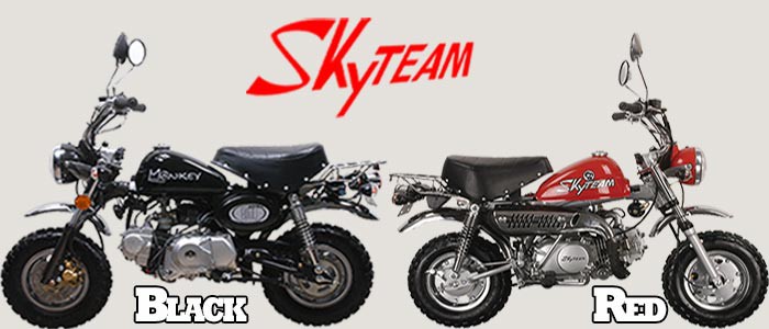 Skyteam Monkey Banner