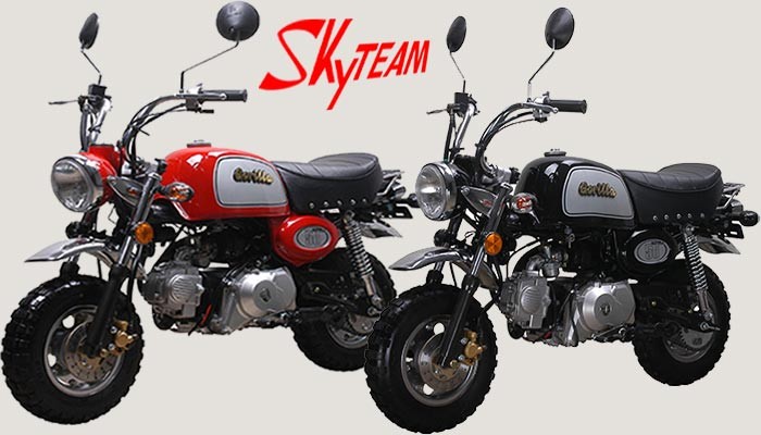 Skyteam 125cc Gorilla / Bongo