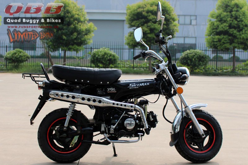 Skyteam Dax 125- ST125-6 125ccm Mini Motorrad für 2 Personen Pocket-Bike & Dirtbike
